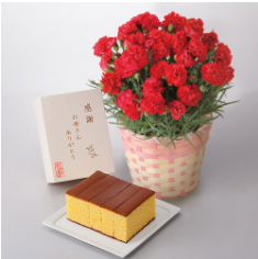 高島屋 カーネーションとメッセージ入りカステラ 母の日 18年 通販の予約 中身